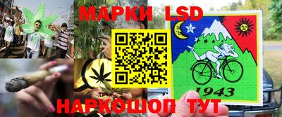 герыч Будённовск