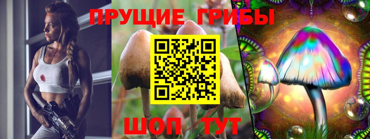Галлюциногенные грибы Magic Shrooms Советский